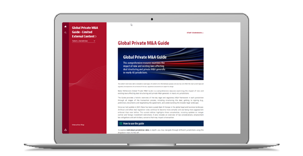Thumbnail of the Global Private M&A Guide landing page