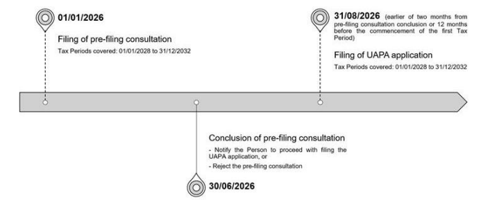 APA process chart