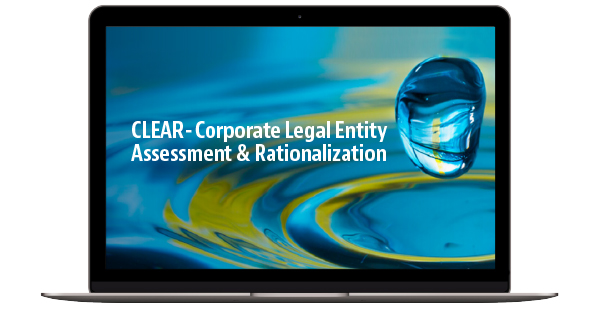 Corporate Legal Entity Assessment and Rationalization