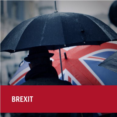 International Commercial Trade Expertise Baker Mckenzie