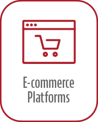 E-Commerce Platforms 