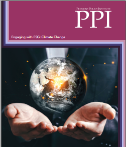 Pensions Policy Institute (PPI) research programme