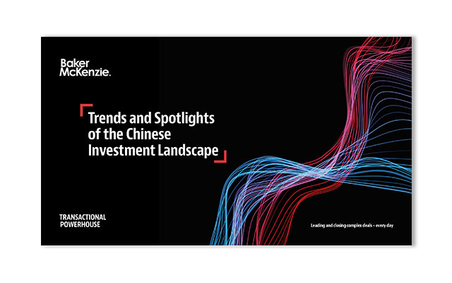 Chinese Investment Landscape report