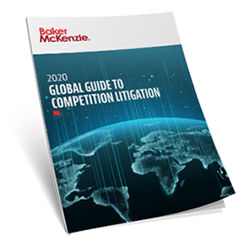 Competition Litigation thumbnail 