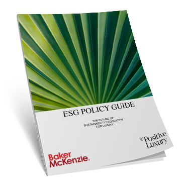 Positive Luxury ESG Guide