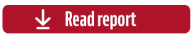 download report button