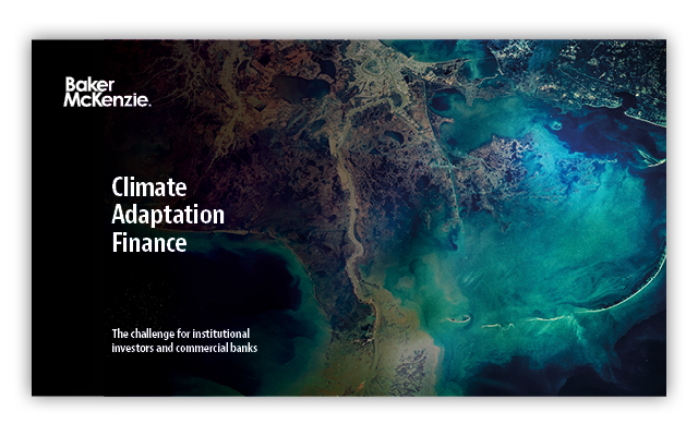 Climate Adaptation Finance Report