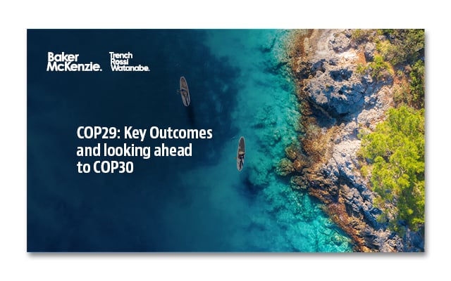 COP29: Key Outcomes and Looking Ahead to COP30