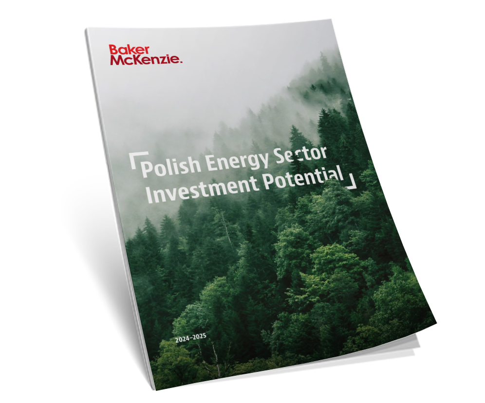 Polish Energy Sector Investment Potential