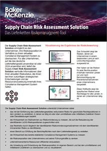 Supply Chain Risk Assessment flyer thumbnail
