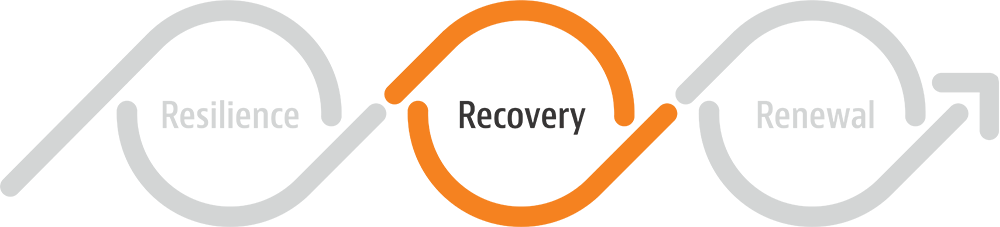 3R Model Recovery