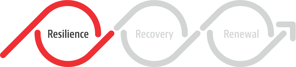3R Model Resilience