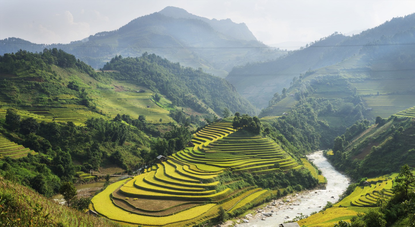 Hills of Vietnam