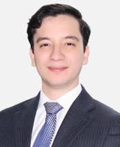 Vladimir Gelves