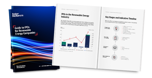 Guide to IPOs for Renewable Energy Companies